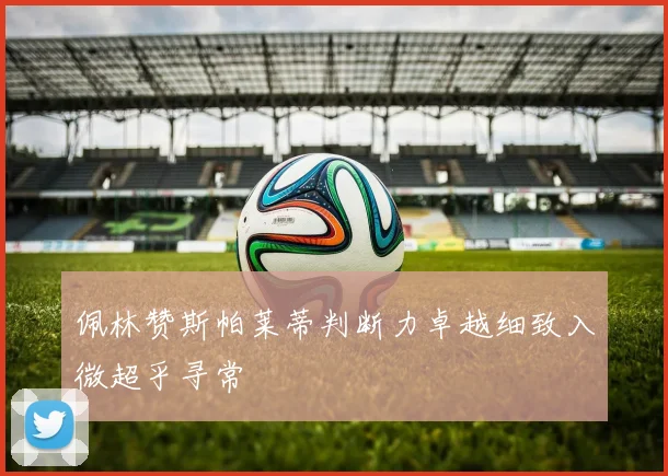 佩林赞斯帕莱蒂判断力卓越细致入微超乎寻常