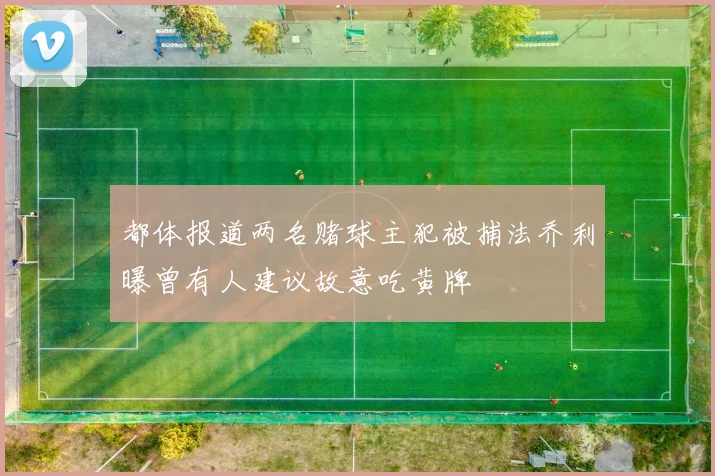 都体报道两名赌球主犯被捕法乔利曝曾有人建议故意吃黄牌