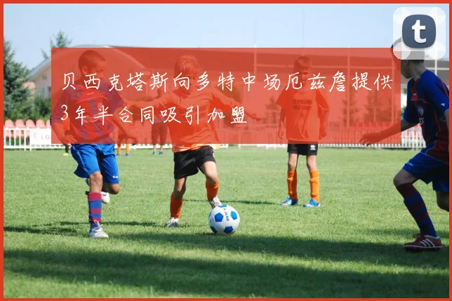 贝西克塔斯向多特中场厄兹詹提供3年半合同吸引加盟