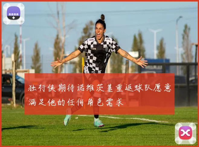 独行侠期待诺维茨基重返球队愿意满足他的任何角色需求