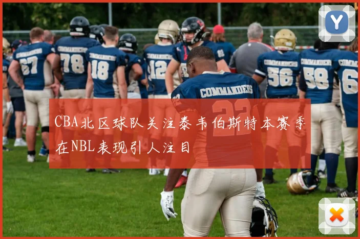 CBA北区球队关注泰韦伯斯特本赛季在NBL表现引人注目